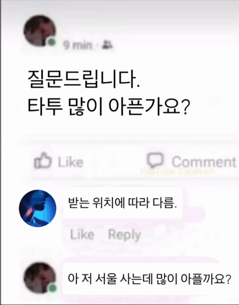카톡 단톡방 터뜨리는 기갈짤 모음 😂 보자마자 저장각!
